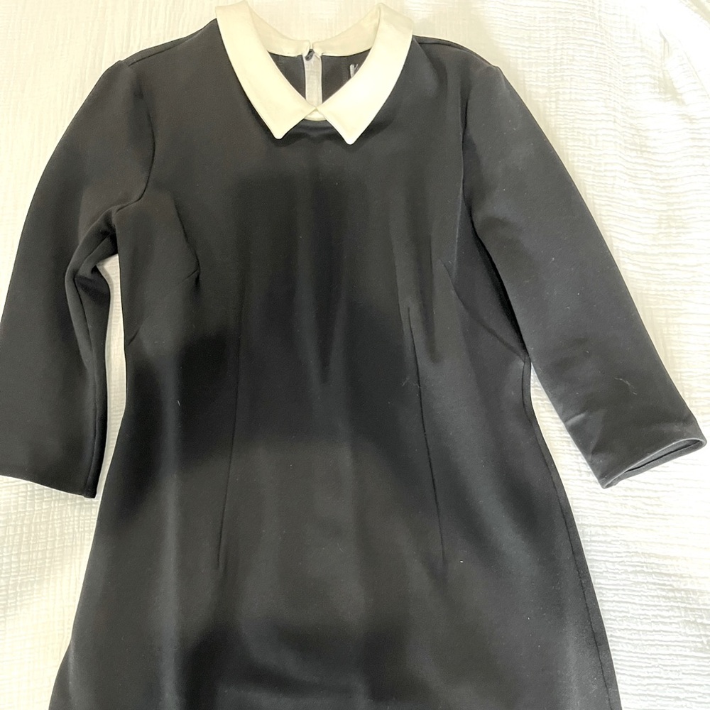 Topshop Mini collard dress. Black with Cream Collar. Worn once. Size 6